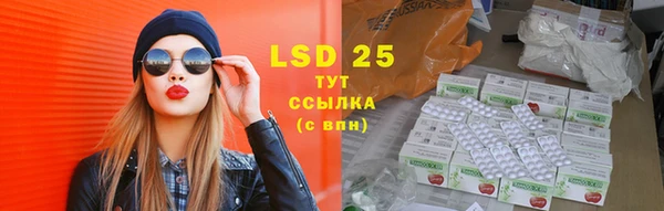 ПСИЛОЦИБИНОВЫЕ ГРИБЫ Абаза